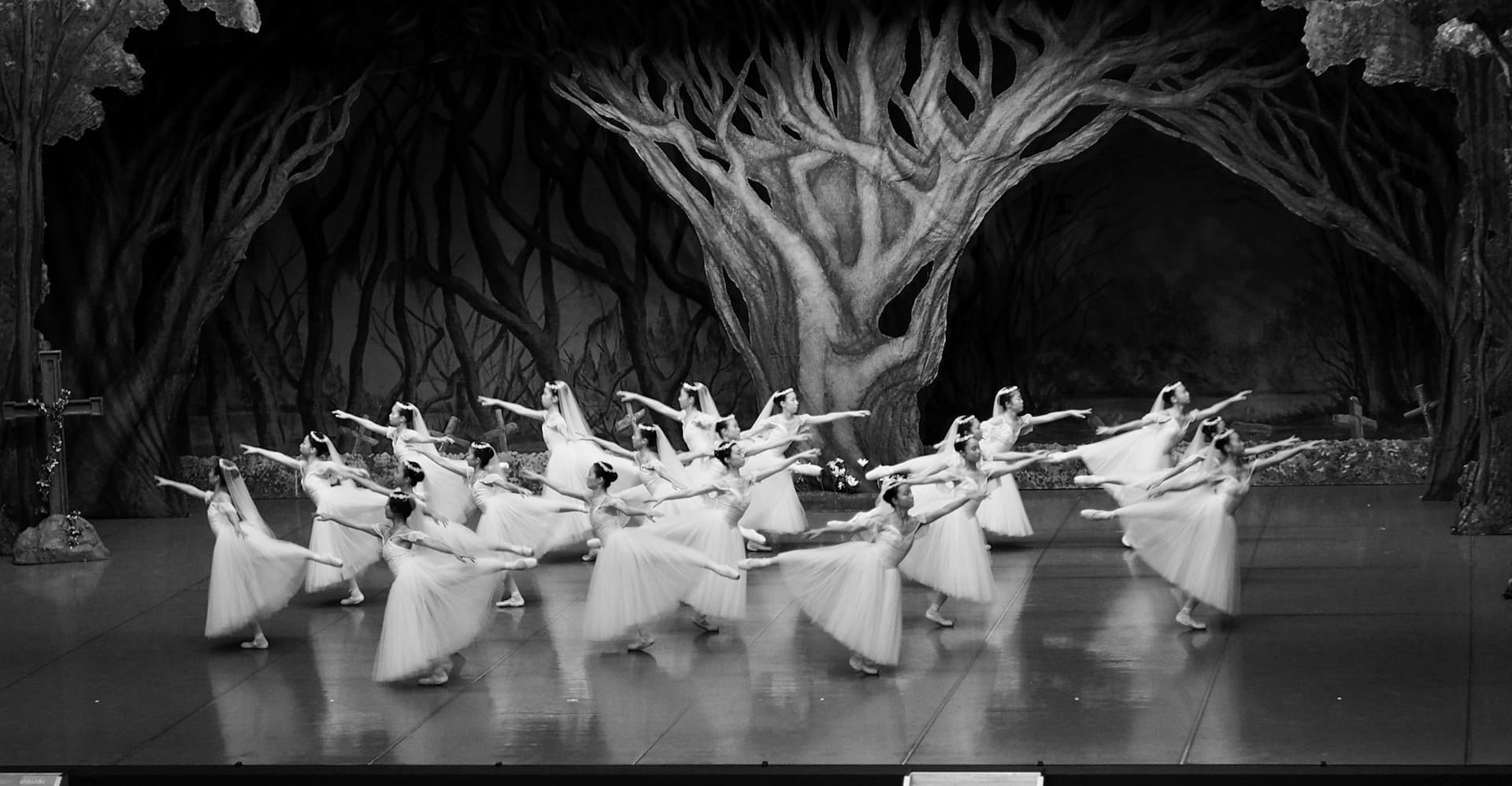 Ballet Preljocaj, Le Lac des cygnes