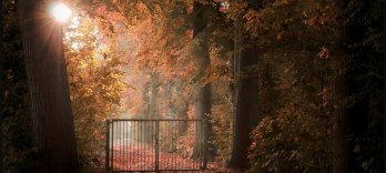 Miroir de nos peines