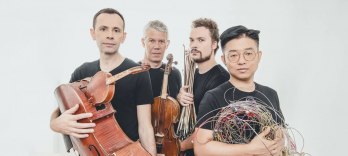 Quatuor Diotima