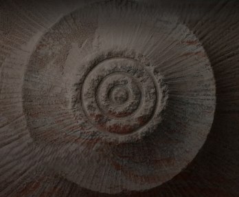 Фестиваль Кольцо 2026