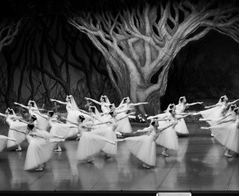 Ballet Preljocaj, Le Lac des cygnes