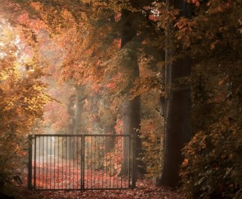 Espejo de nuestras penas