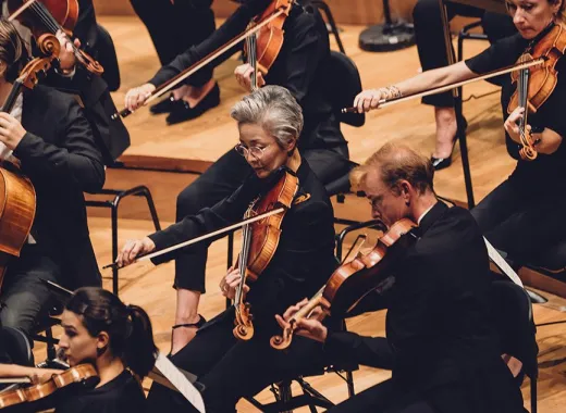 Portrait Of Orchestra