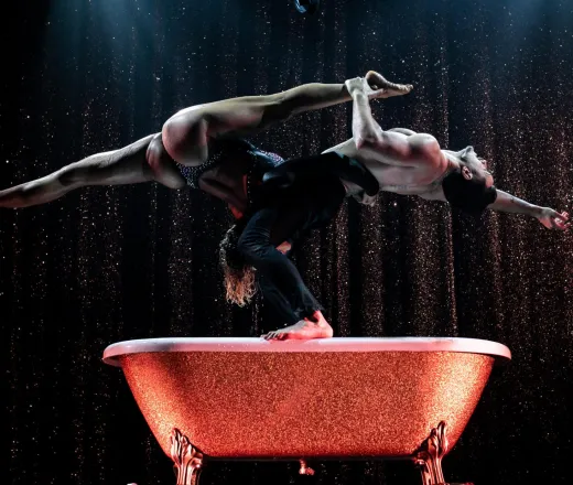 Paradis Latin Cabaret Shows