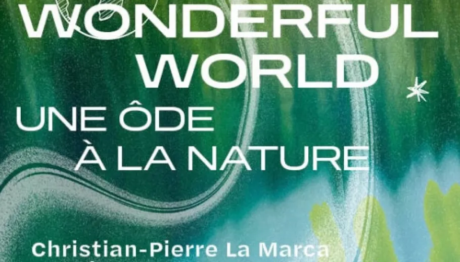 Wonderful World