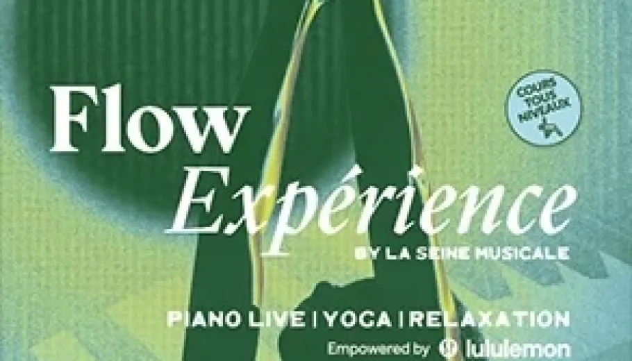 Flow Experience